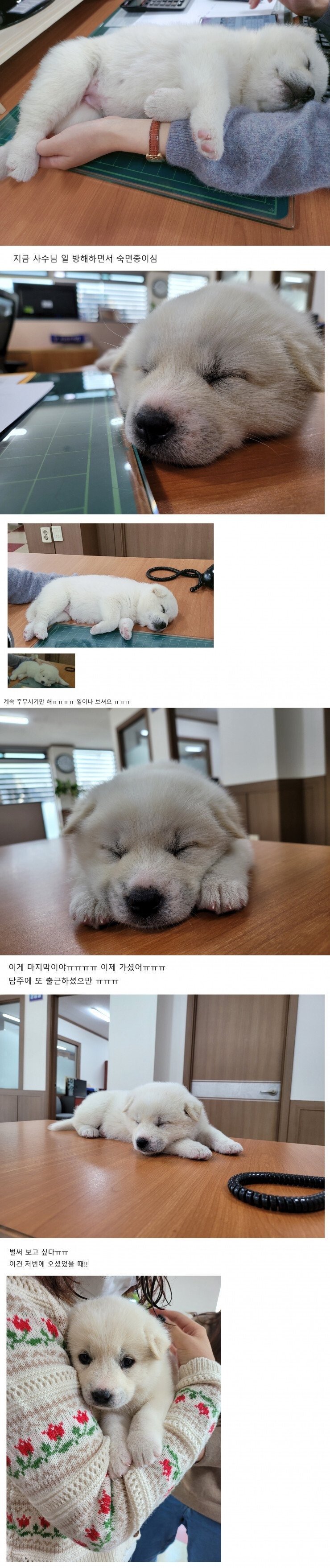 부장님이 회사에 막내딸을 데려옴 