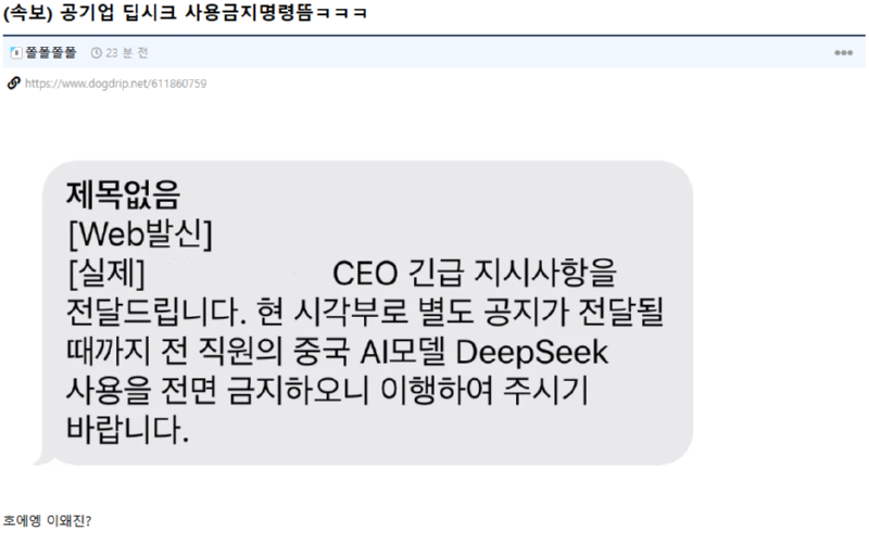 딥시크 사용금지 명려 받은 공기업 개붕이 