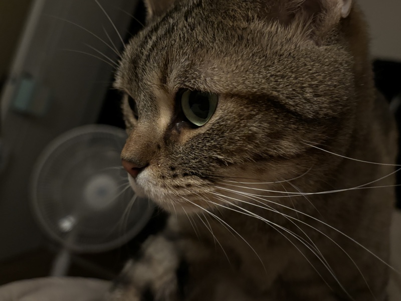 IMG_9544.jpeg