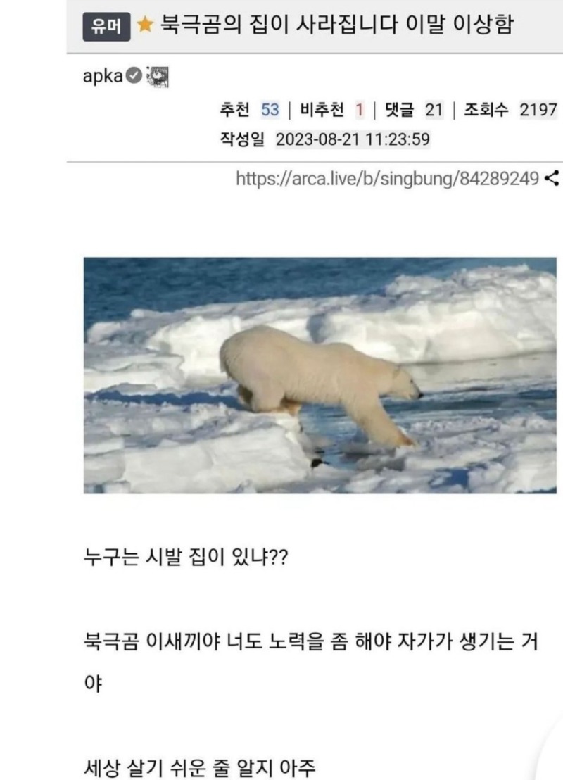 북극곰 집이 사라진다는게 이상하다는 사람