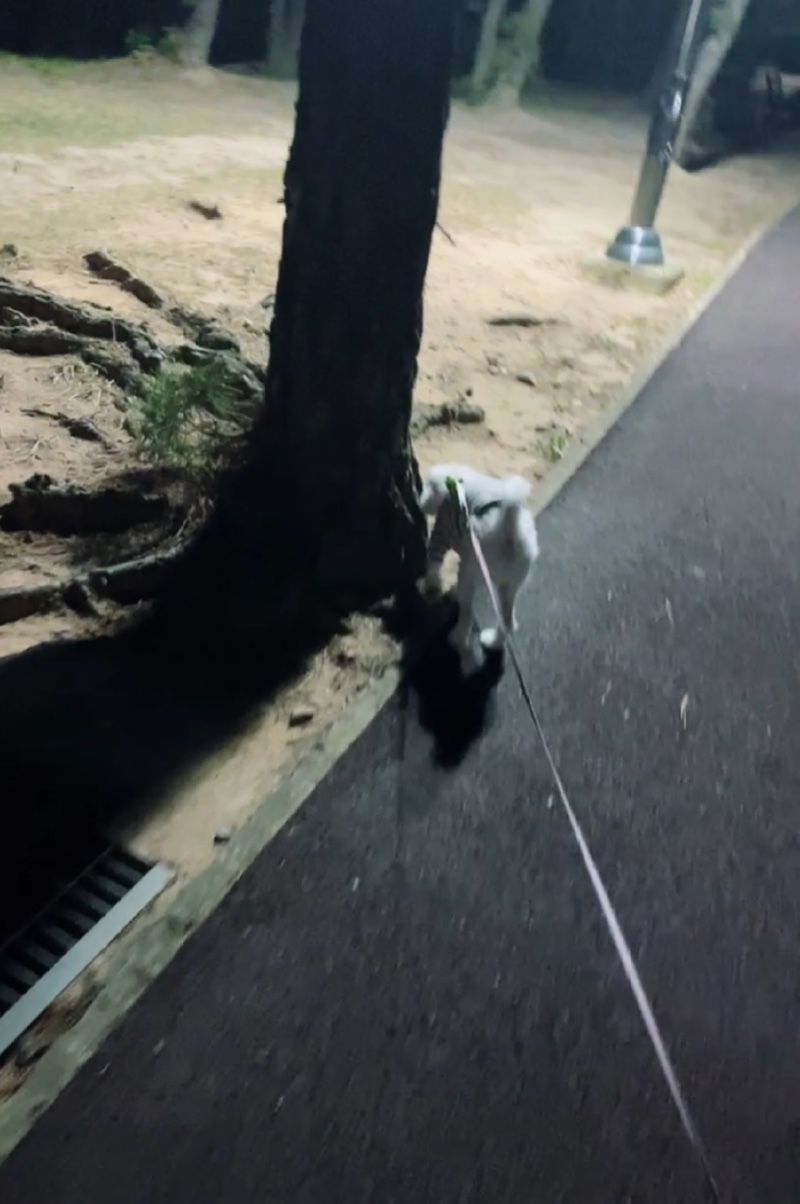 인계동 올림픽공원산책후기