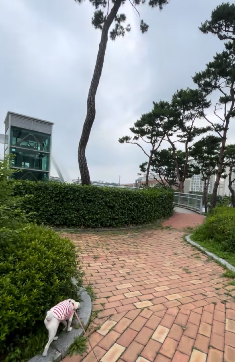 세교죽미공원 배드민턴장