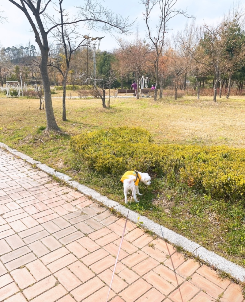 오산 죽미체육공원 산책후기