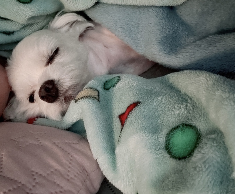 긴 연휴 끄읕!