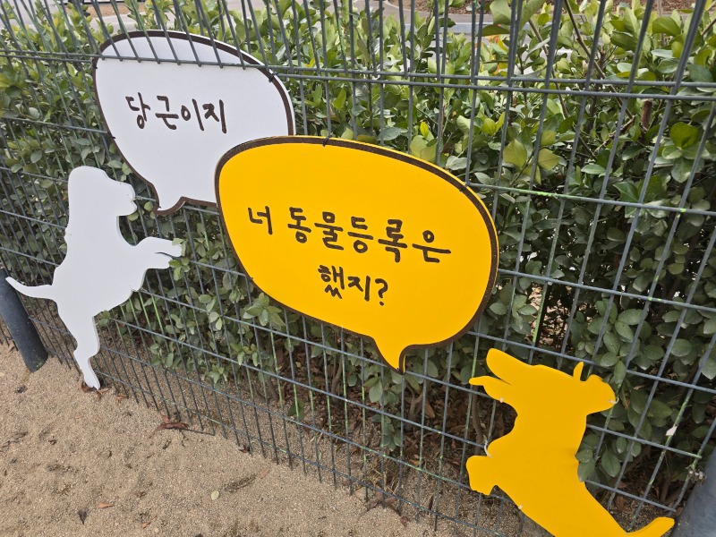 월드컵공원 반려견놀이터, 서울 반려견들의 모임장소!