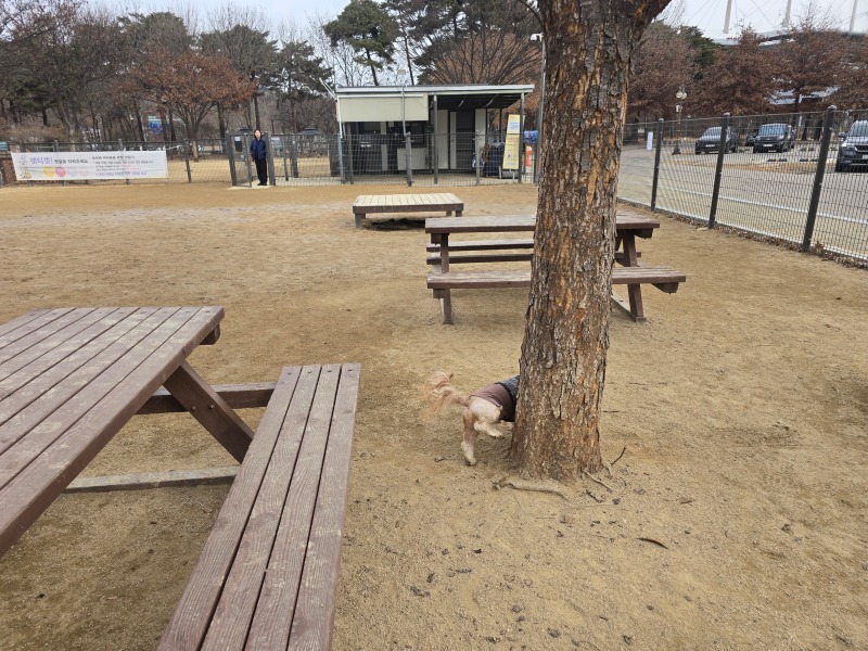 월드컵공원 반려견놀이터, 서울 반려견들의 모임장소!