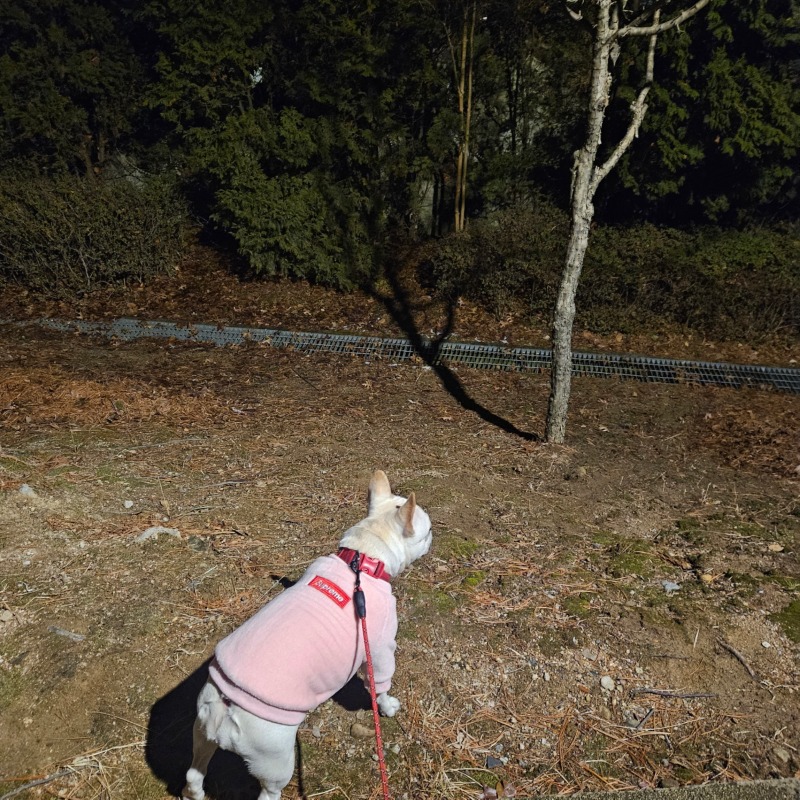 신계역사공원 산책