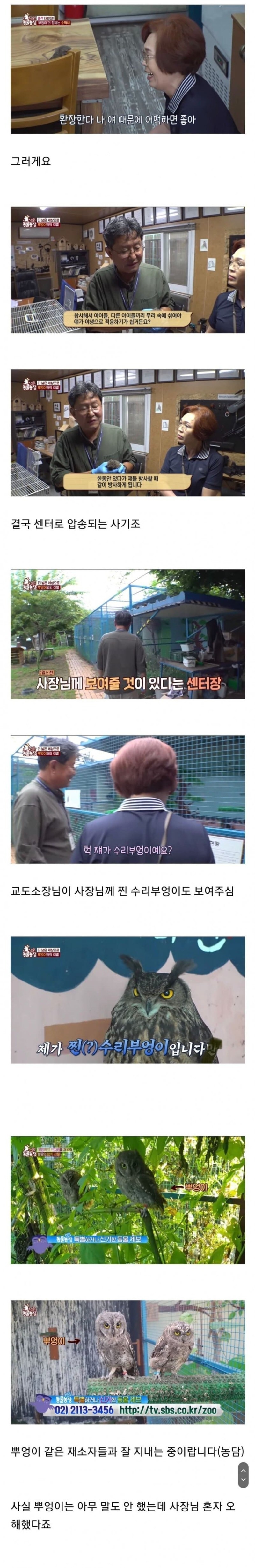 아기 부엉이를 키우신다는 사장님. 