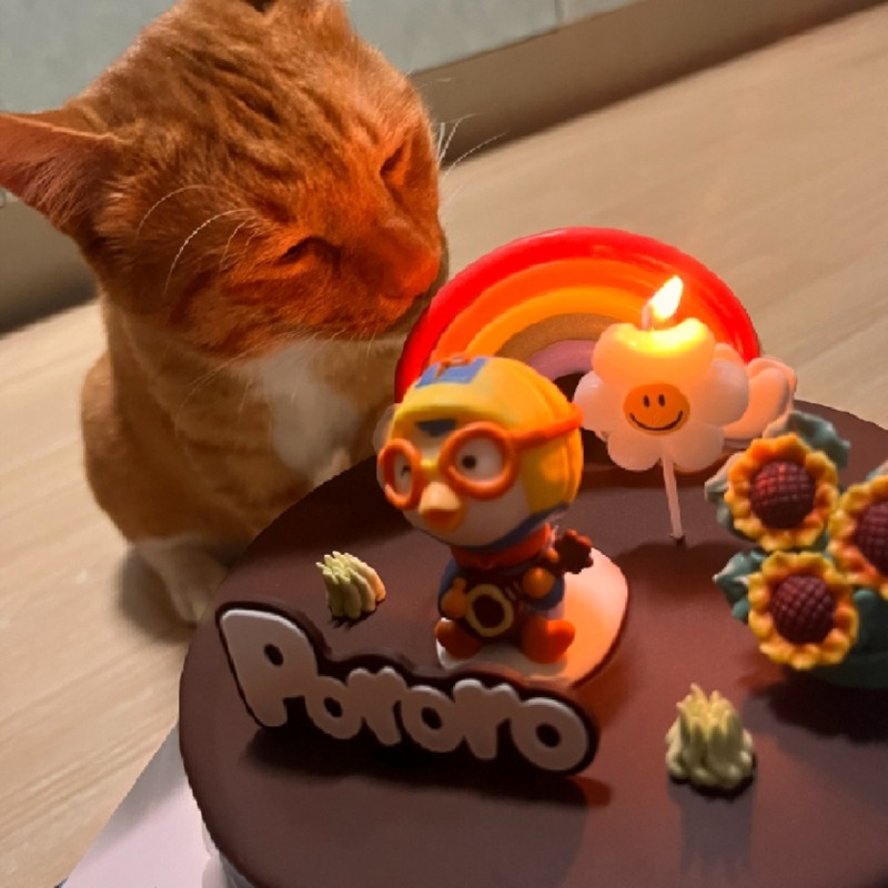 생일추카추