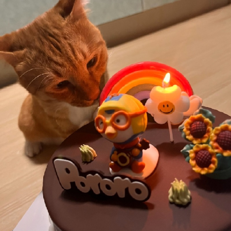 생일추카추
