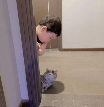 귀여움이 2배, 4배, 8배!