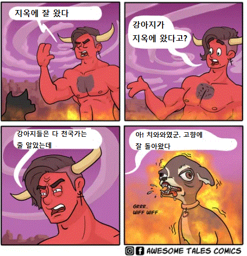 지옥으로 다시 돌아온 강아지