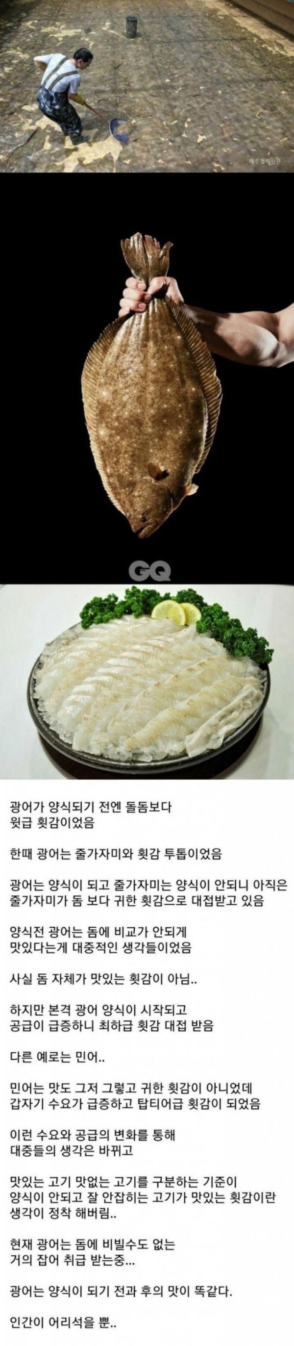최고의 횟 감 광어
