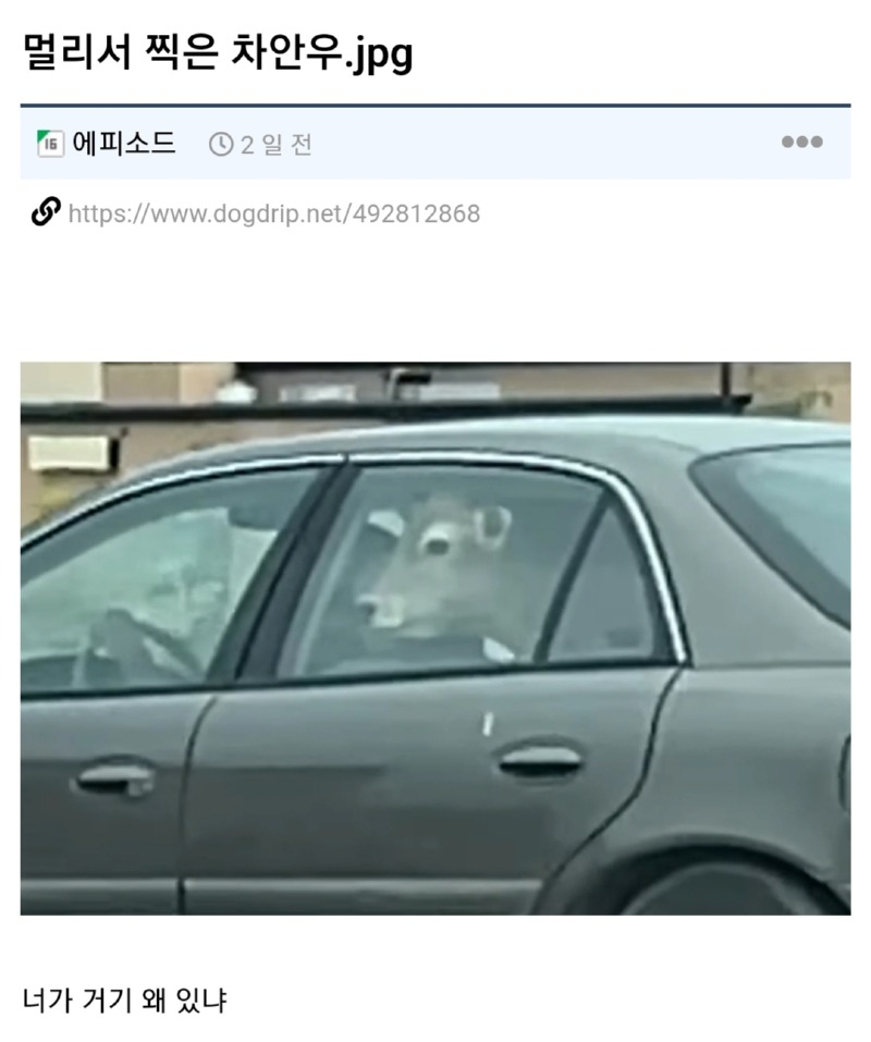 멀리서 찍은 차안우 