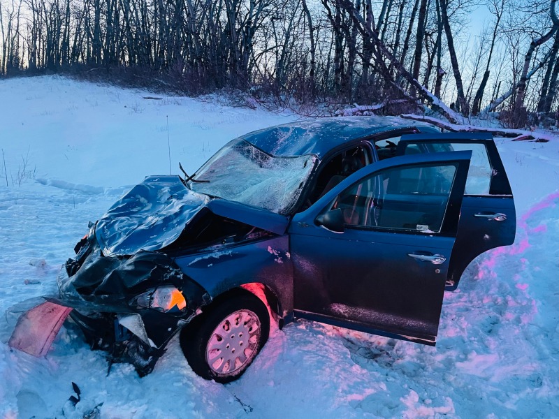 this-is-the-result-of-hitting-a-750lbs-moose-going-100kmh-i-v0-68sxn5ix3mec1.jpg