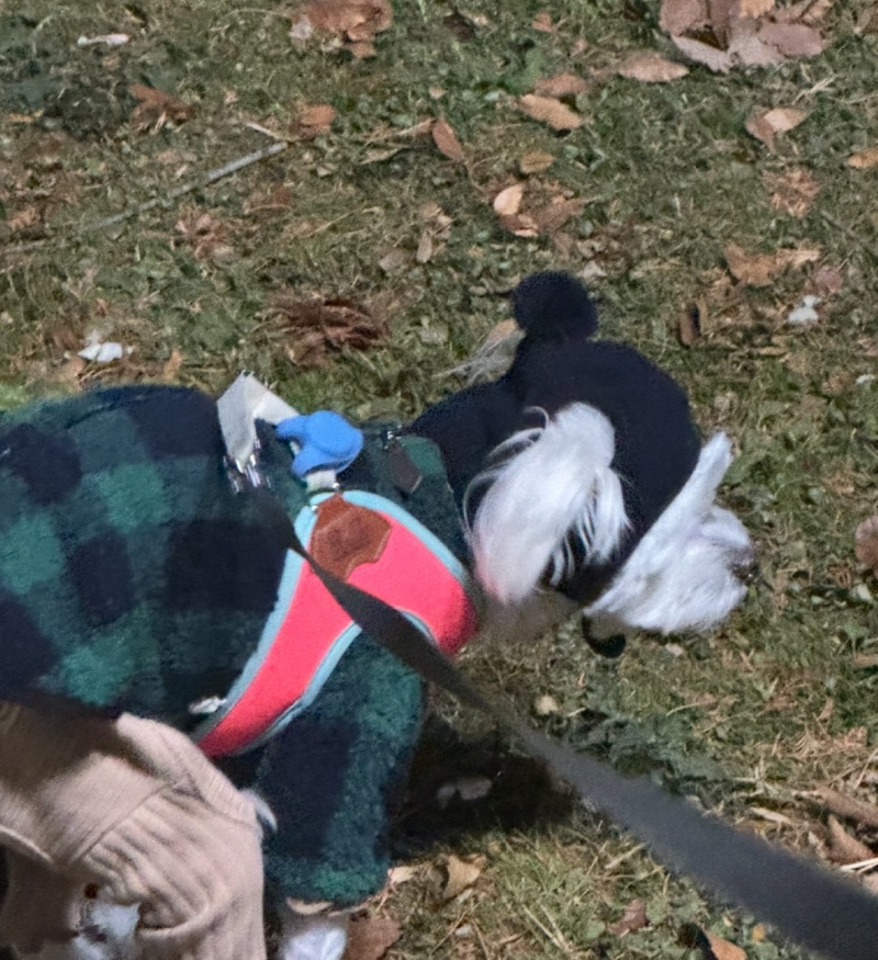 IMG_9975.jpeg