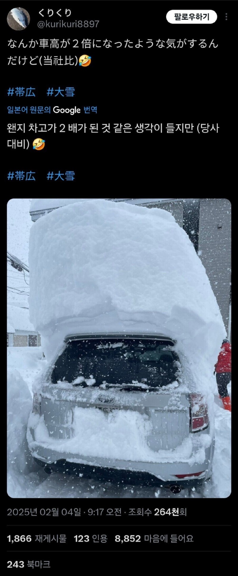 하루만에 115cm의 폭설이 내린 홋카이도 