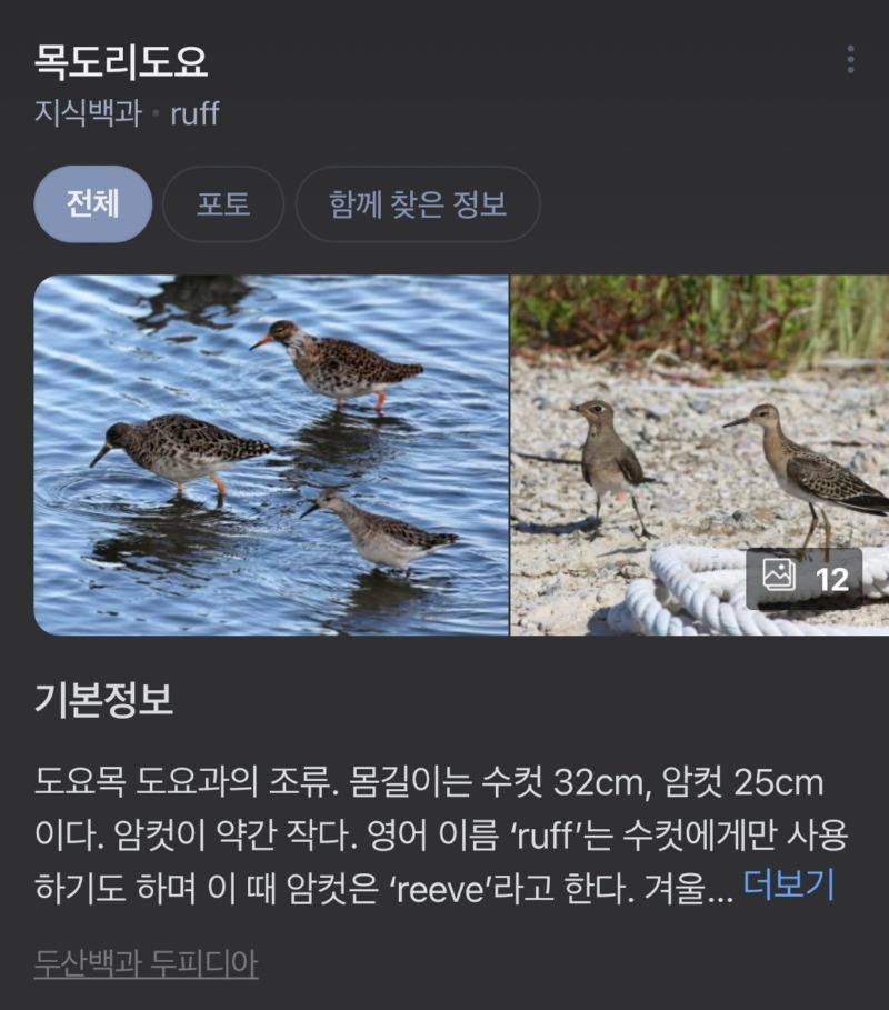 외출시 장갑 꼭 챙기세요~!  그리고