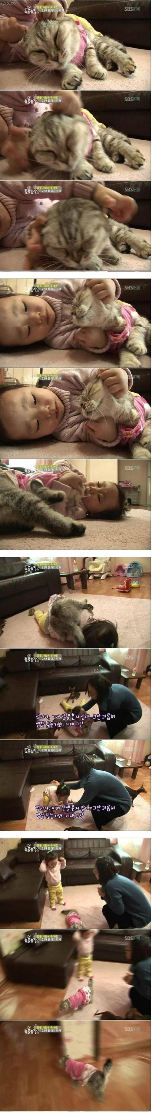 극한직업 - 고양이 편 