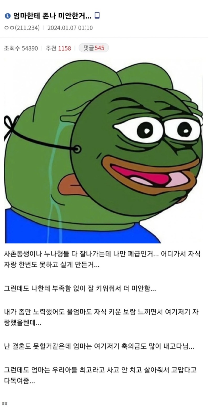 엄마한테 굉장히 미안한 디씨인 