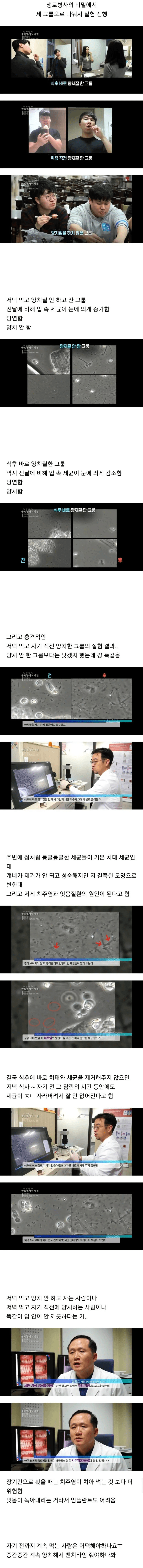 양치질에 대한 충격적인 실험 결과