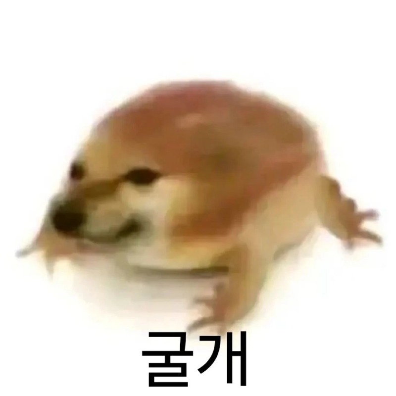 굴개