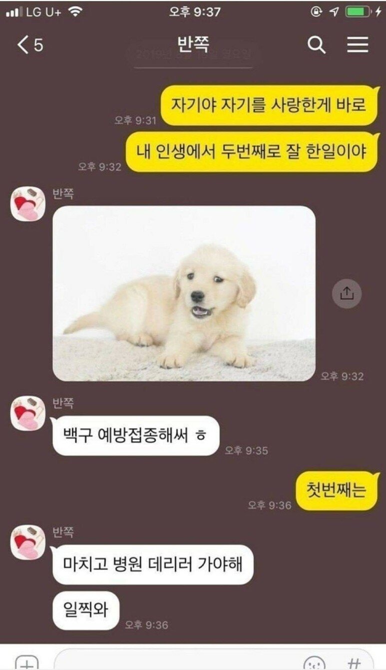 마누라, 당신을 만난건 내 인생 두번쨰로 잘한 일이야 