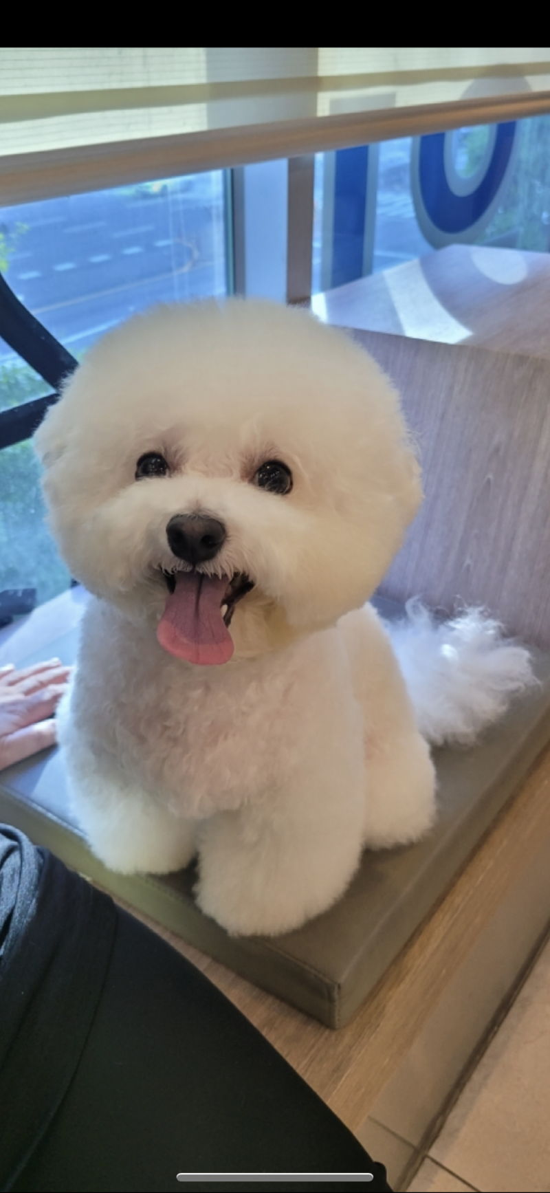 미용 후 전 차이 ㅋㅋㅋㅋㅋㅋ