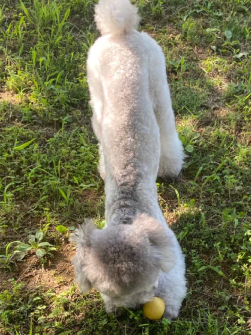 작년 여름 설