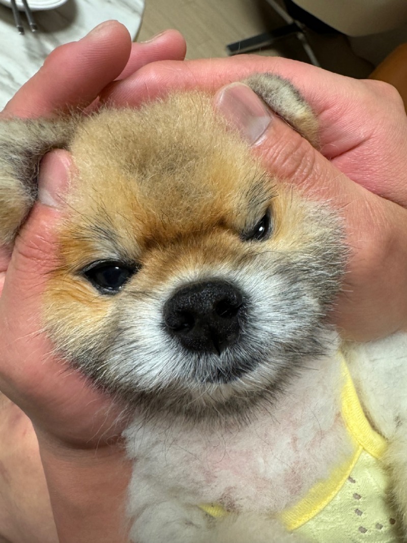 우리 군기반장ㅎㅎ