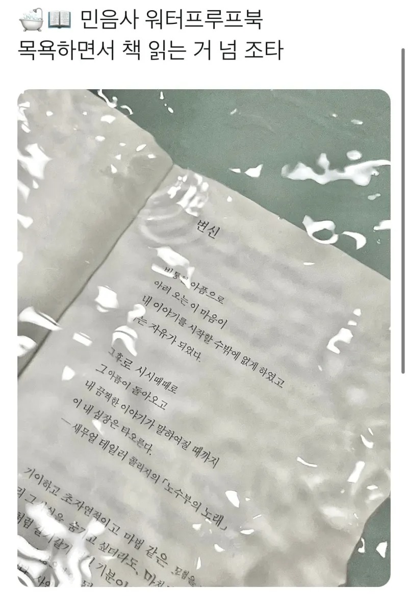 종이책의 진화