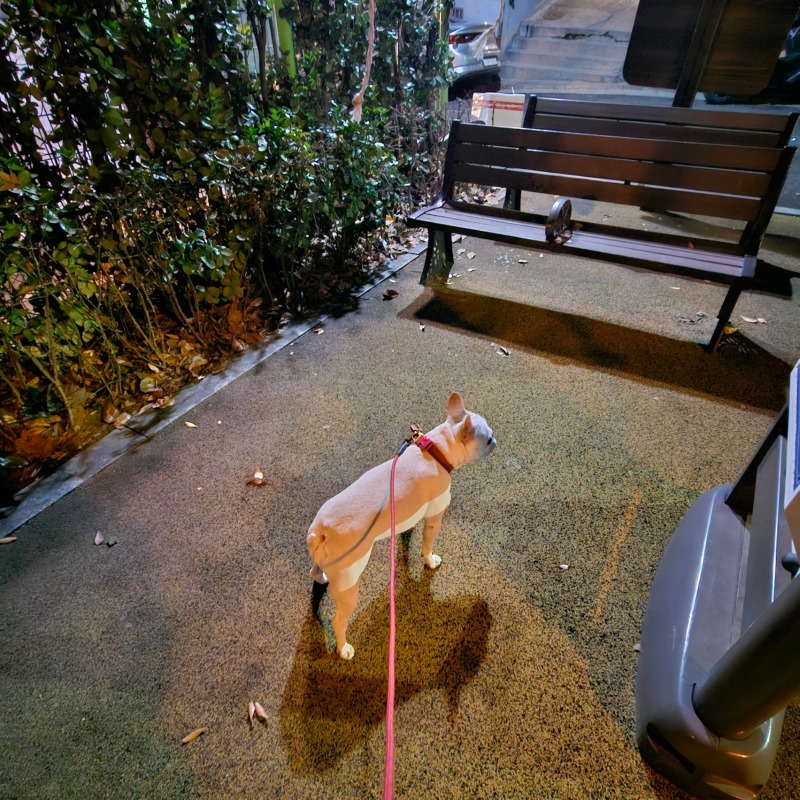 해태공원 산책
