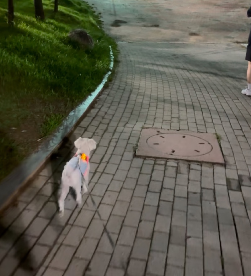 매탄공원 산책후기