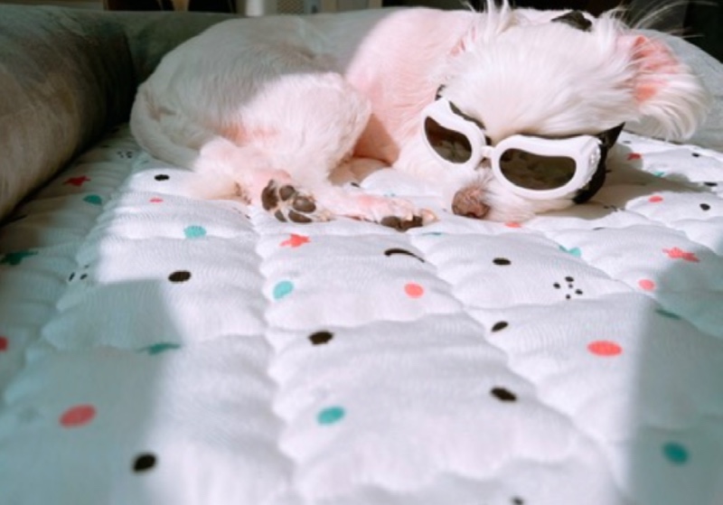 IMG_0034.jpeg