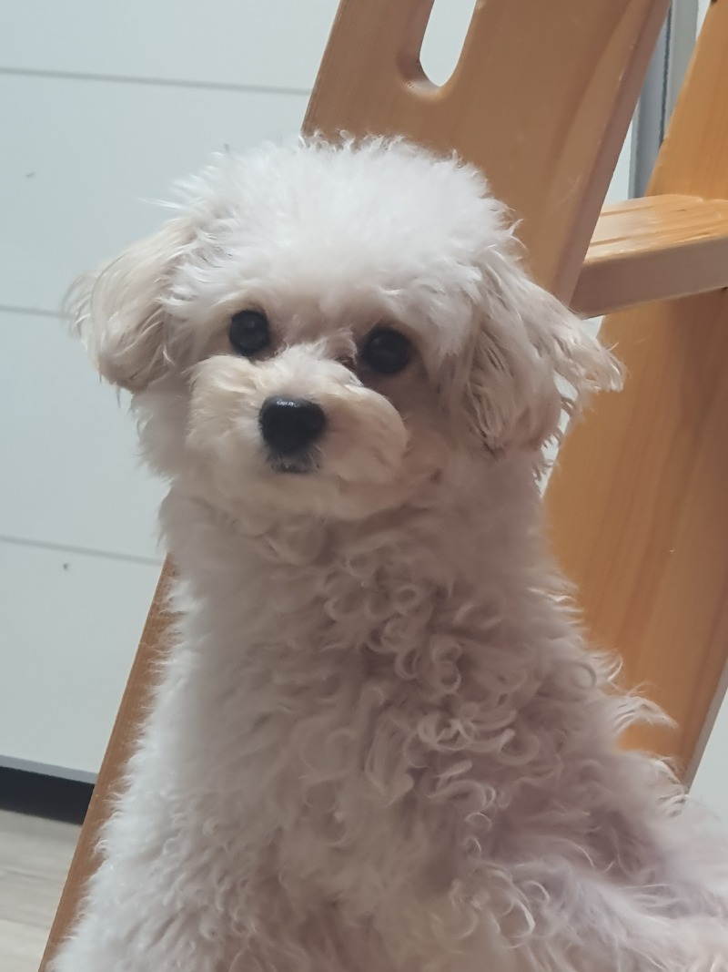 꼬질꼬질 애기들