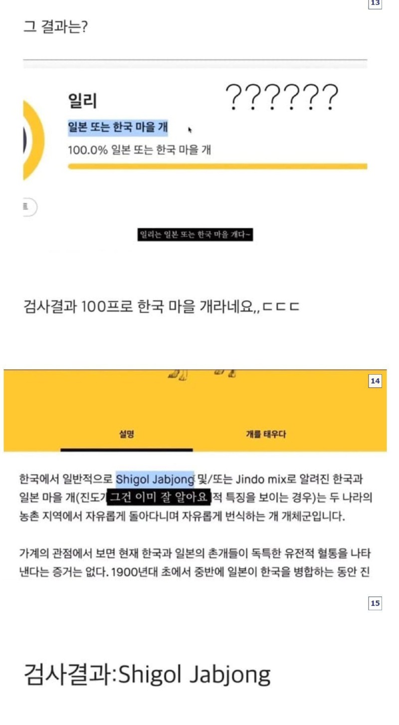 시골 출신 강아지를 DNA검사 해보면?? 