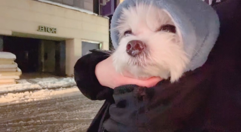 어르신 감기 걸릴까봐