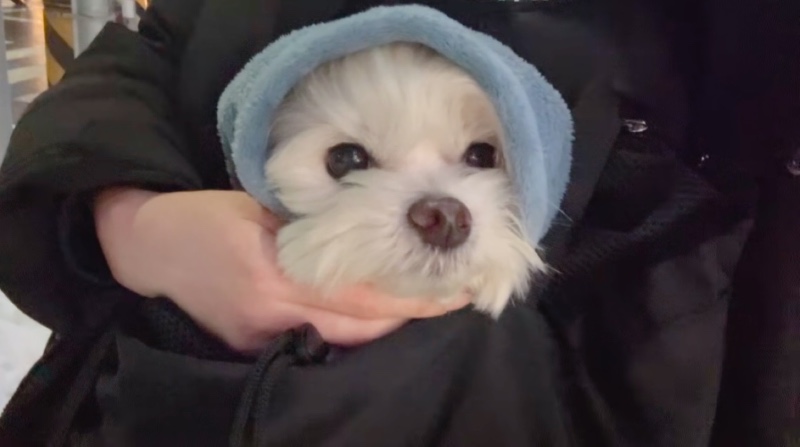 어르신 감기 걸릴까봐