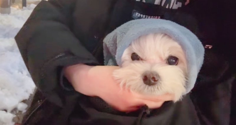어르신 감기 걸릴까봐