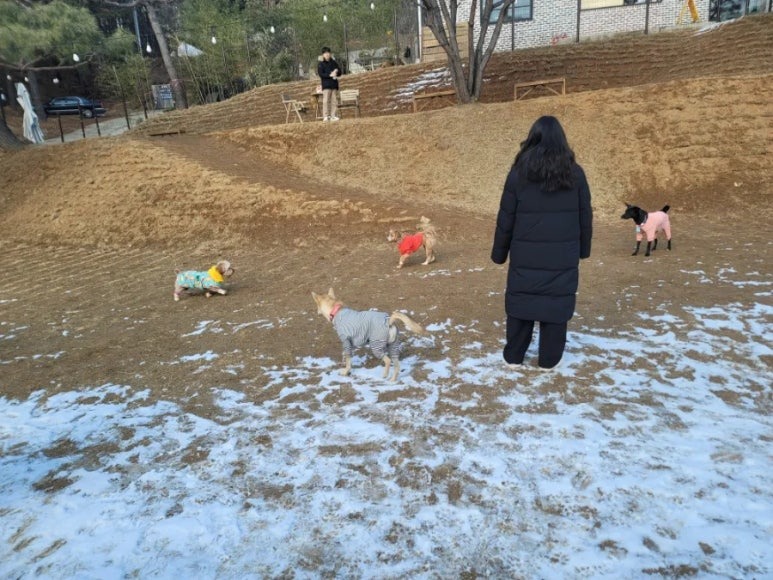 용인 테일45, 다양한 놀이터와 프라이빗존이 공존하는