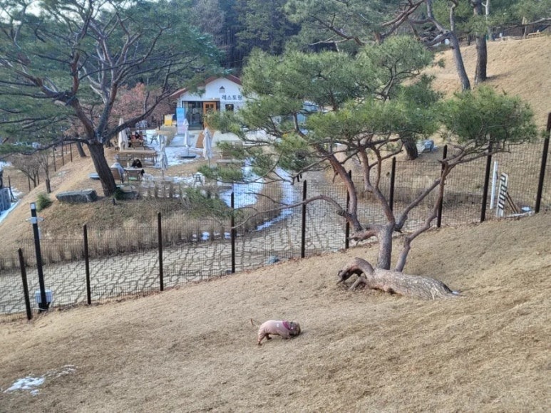 용인 테일45, 다양한 놀이터와 프라이빗존이 공존하는
