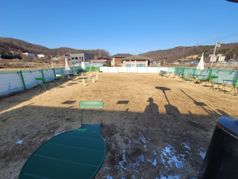 고양시 펫트럴파크, 볼풀장이 인상적인 애견카페