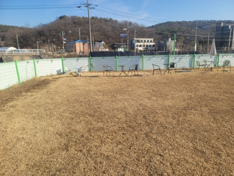 고양시 펫트럴파크, 볼풀장이 인상적인 애견카페