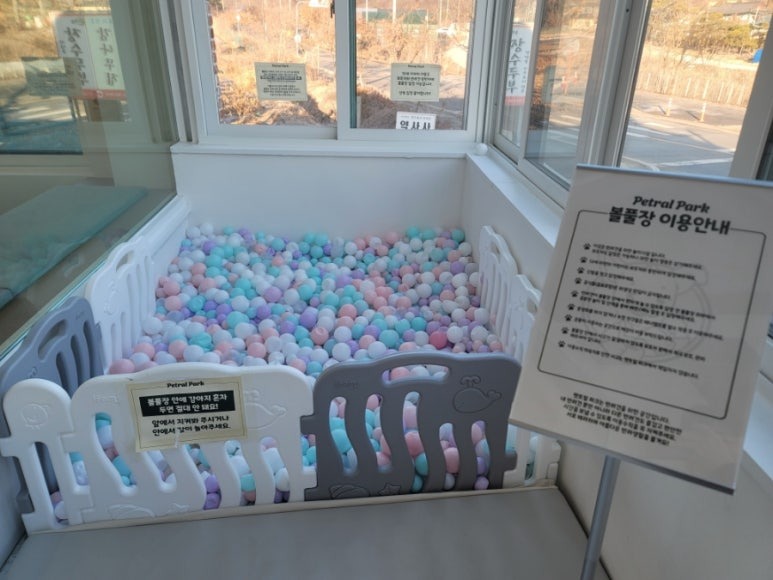 고양시 펫트럴파크, 볼풀장이 인상적인 애견카페