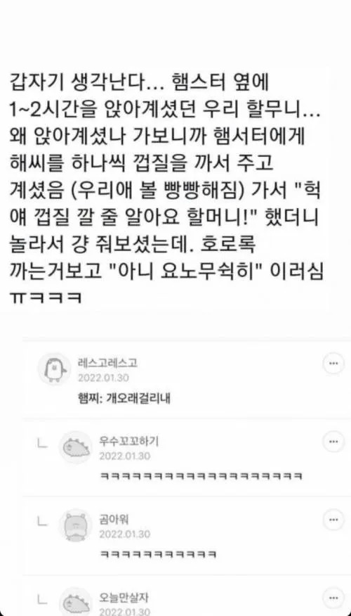 햄스터와 할무니