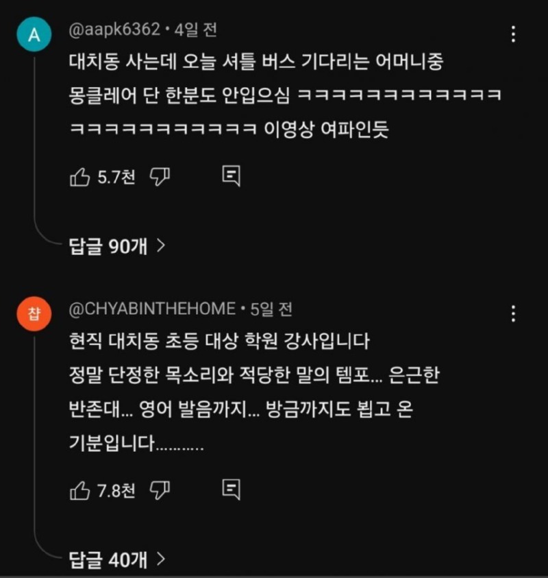 강남 엄마들을 싸그리 긁어버린 이수지의 패러디물 ㅋㅋㅋ 