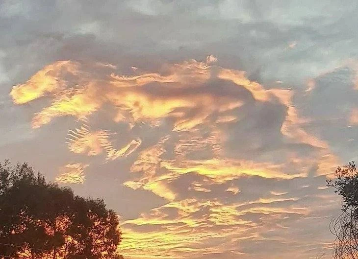 이거 빨리 보셈 빨리봐야함 