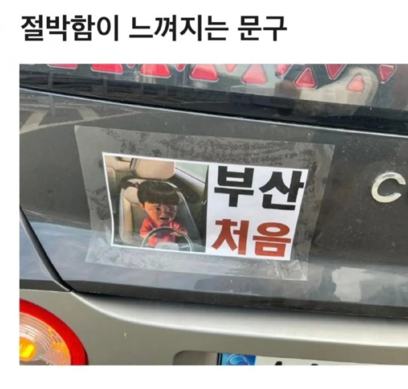 절박함이 느껴지는 운전 문구 
