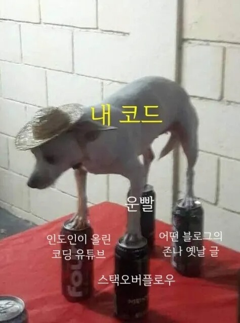 프로그래머가 한 코딩의 특징