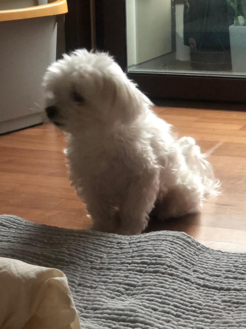 귀여워죽겠어요